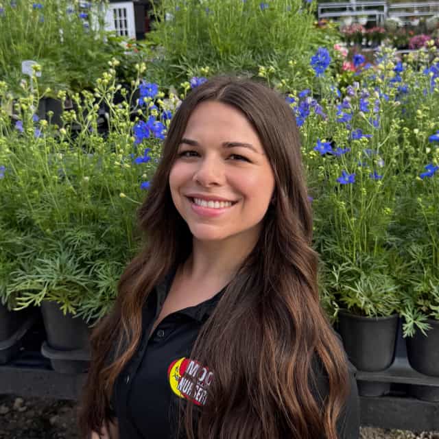 Sarah Haber