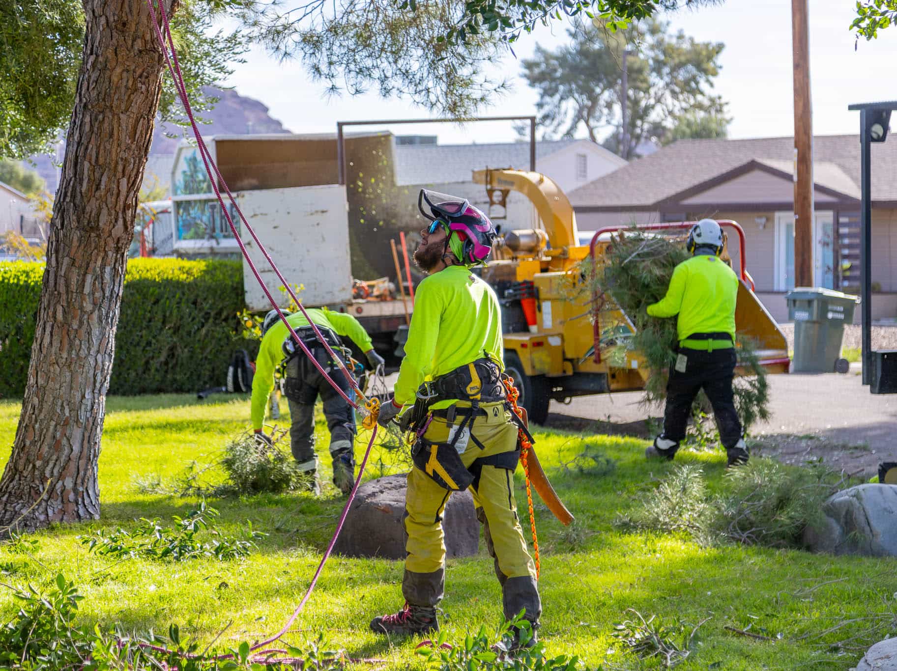 Moon Valley Nurseries Tree Care crew servicing a yard