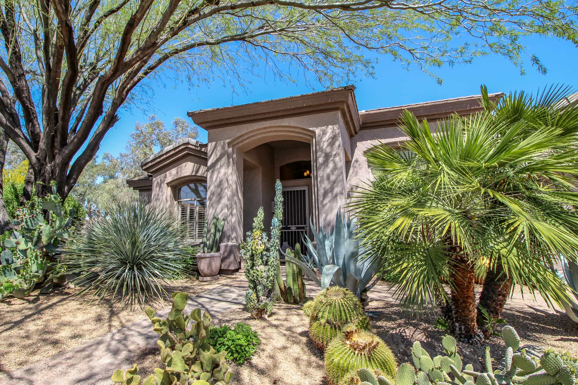 A natural xeriscape yard in front of an Arizona home.