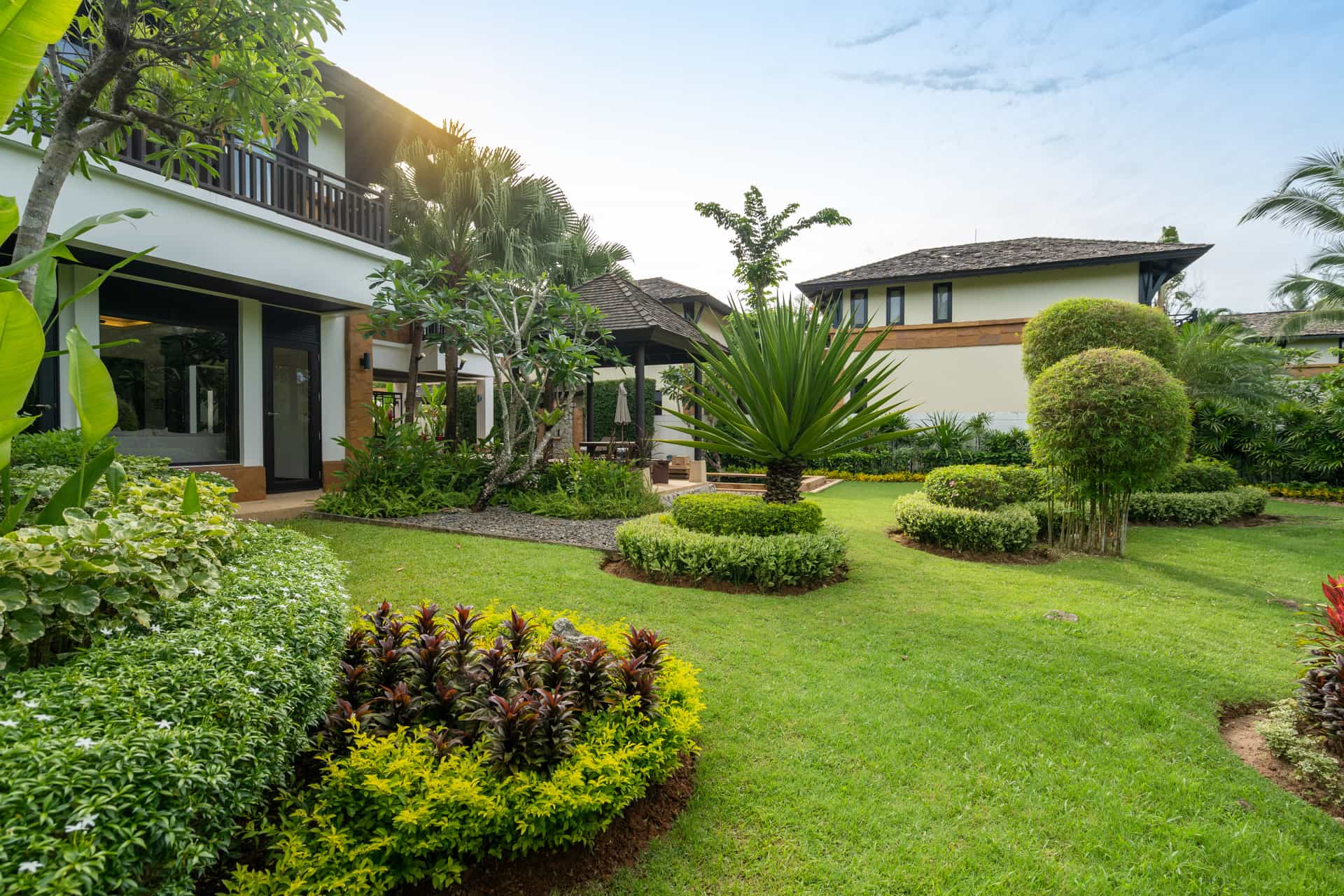 A stunning and structured backyard planted in a modern style, with circular hedge rings and stunning palms.