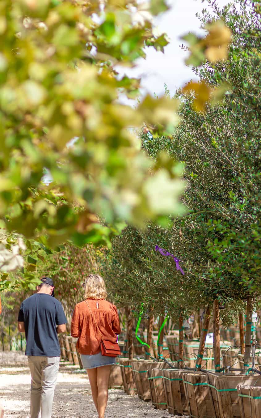 Customers shopping in Moon Valley Nurseries location