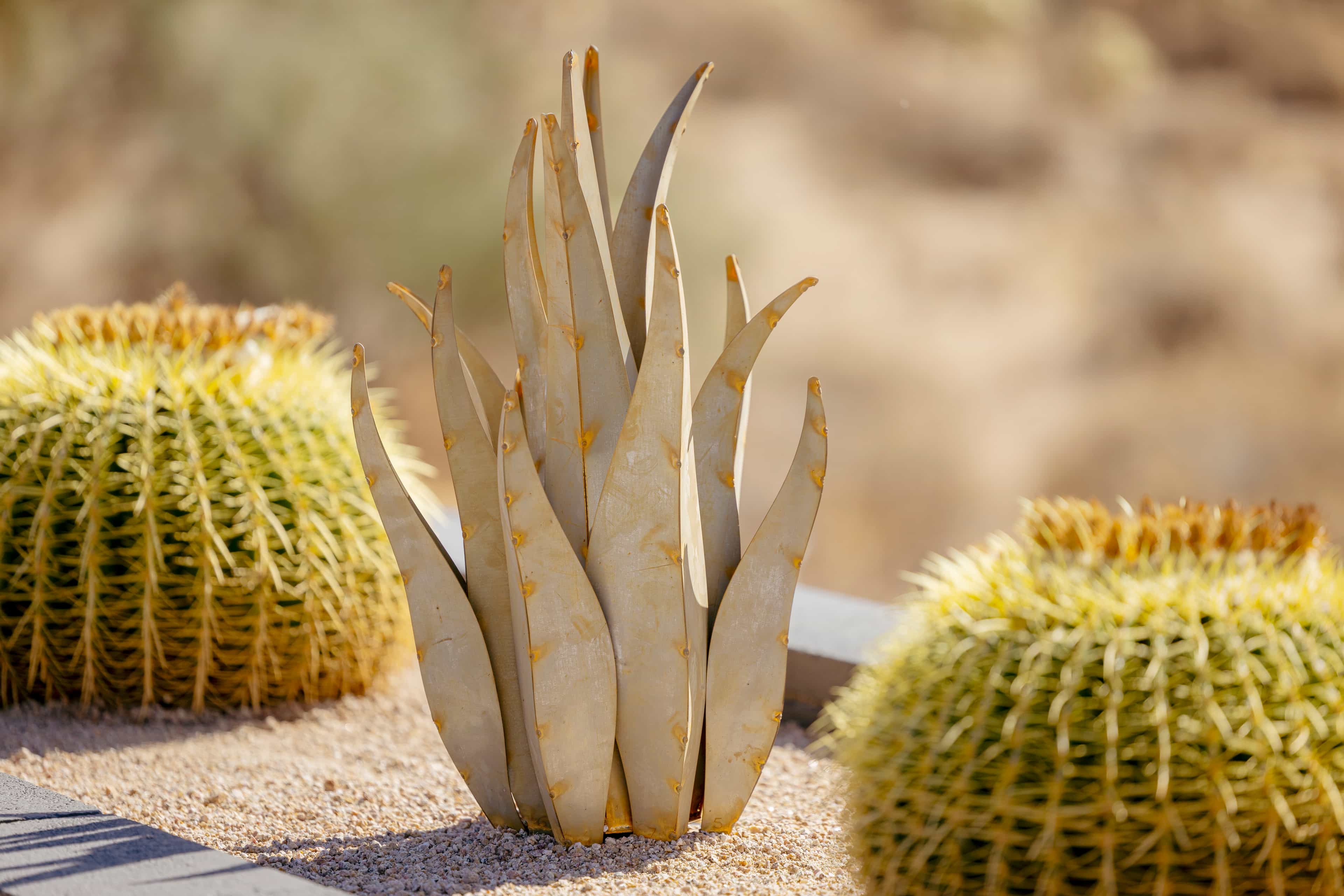 A steel sculpture of an agave plant