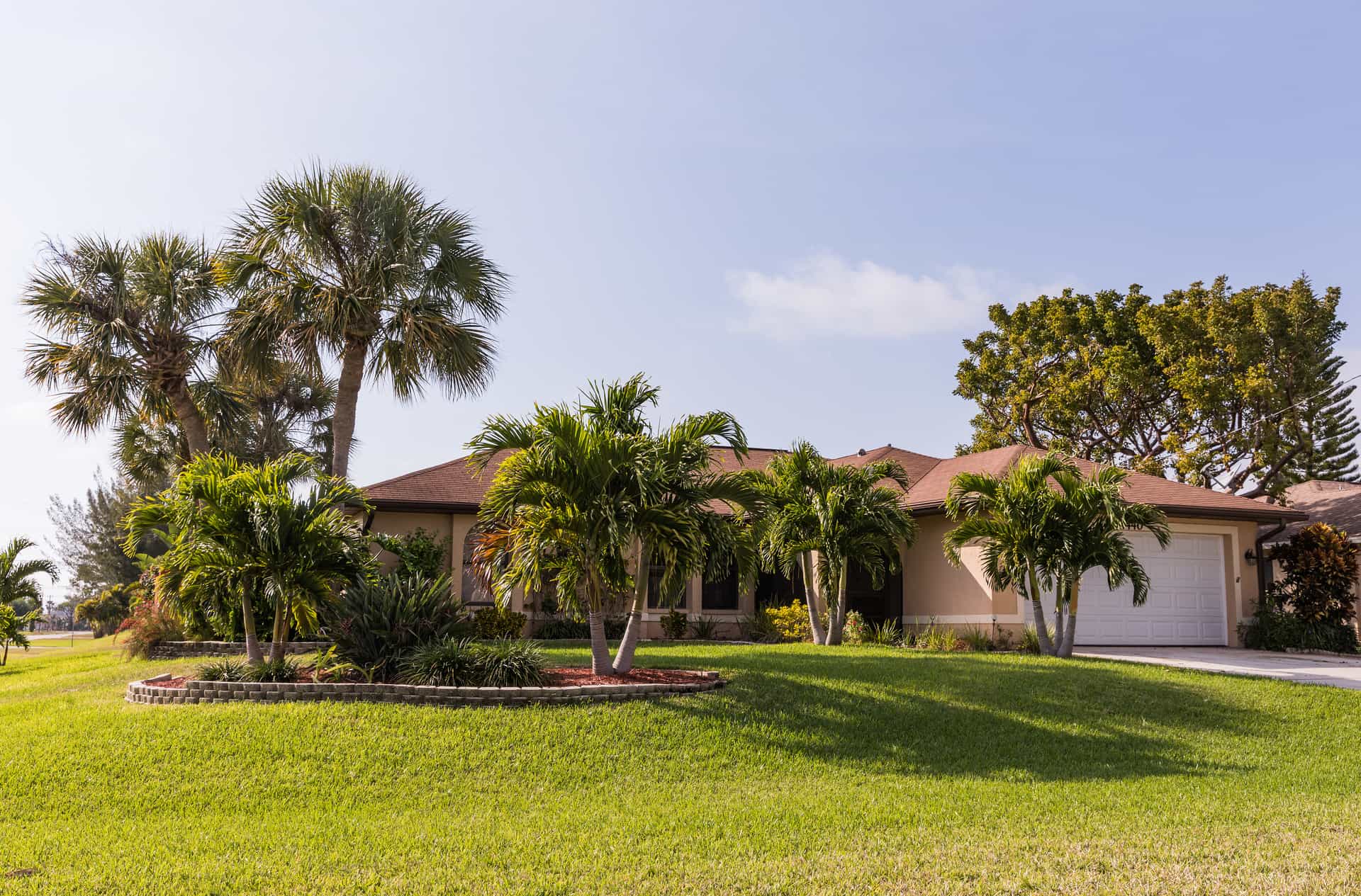 A minimal tropical palm planting in a Florida landscape.