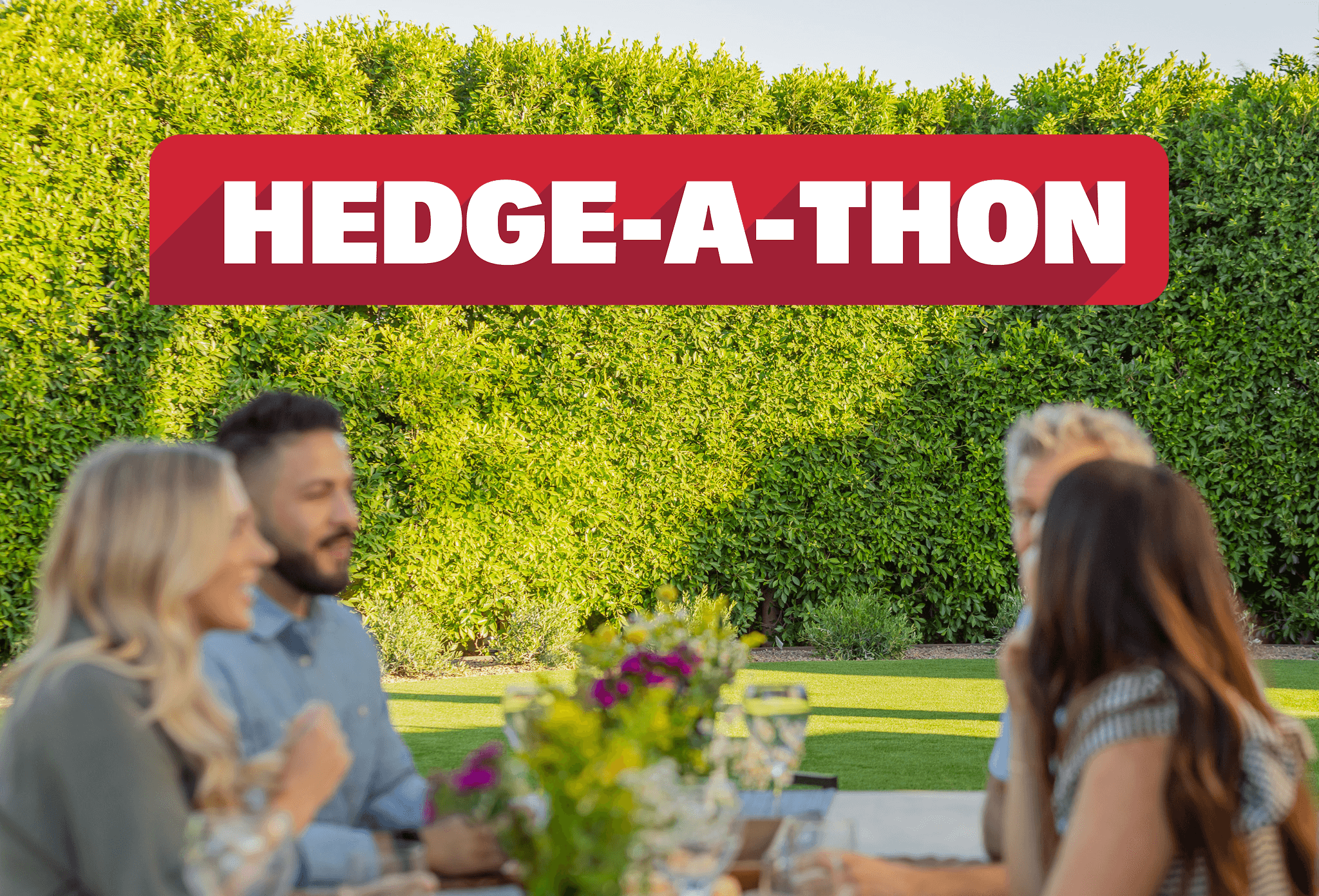 People socializing in a nice backyard with a huge privacy hedge behind them.