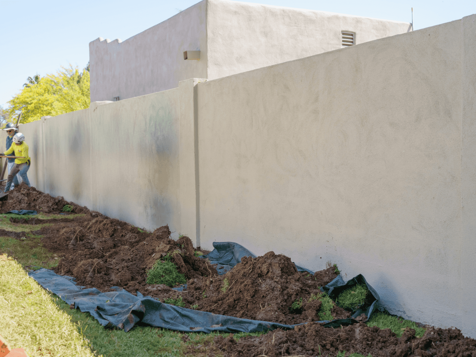 Orchard Wall Before
