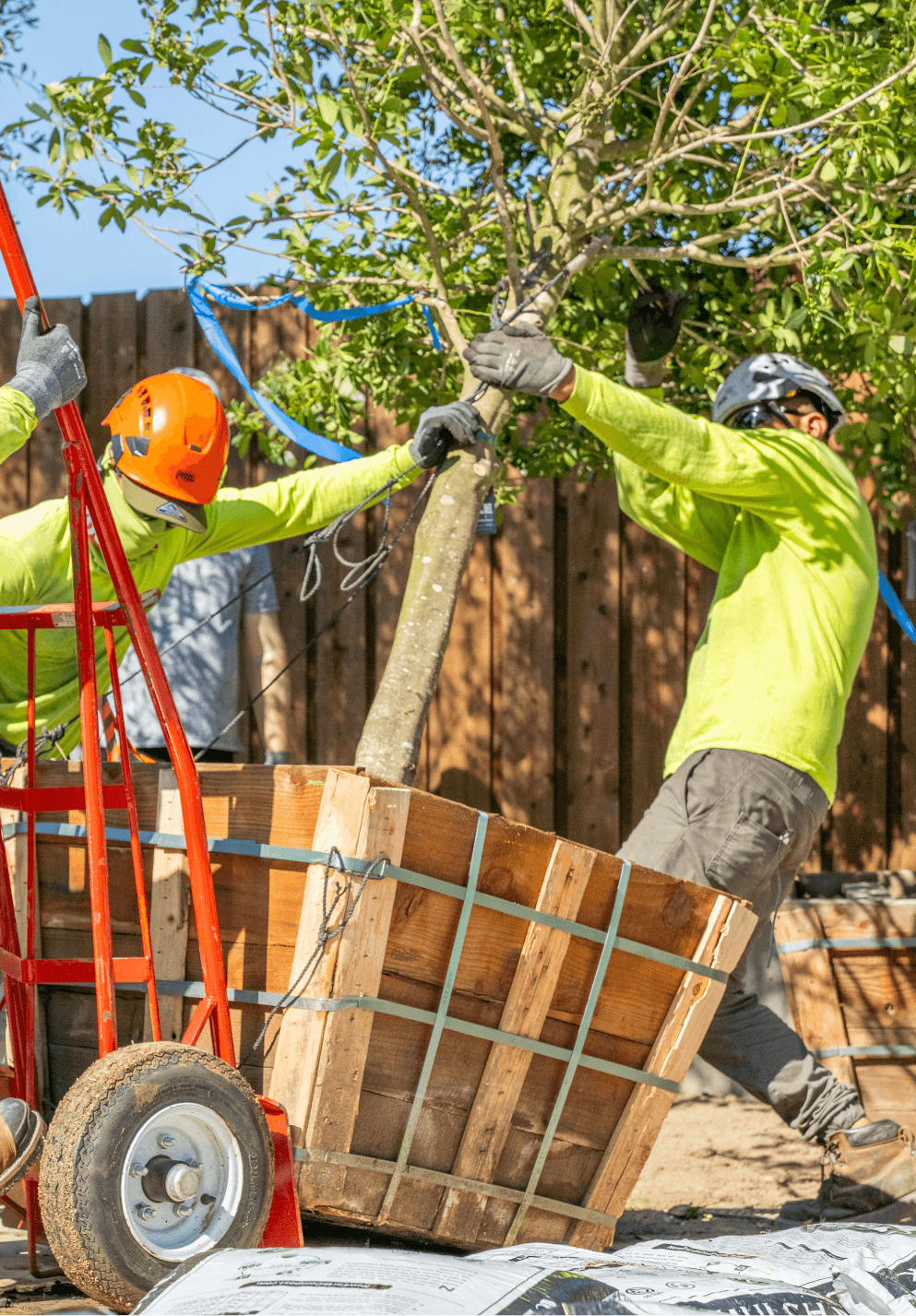 See our portfolio of professional planting jobs