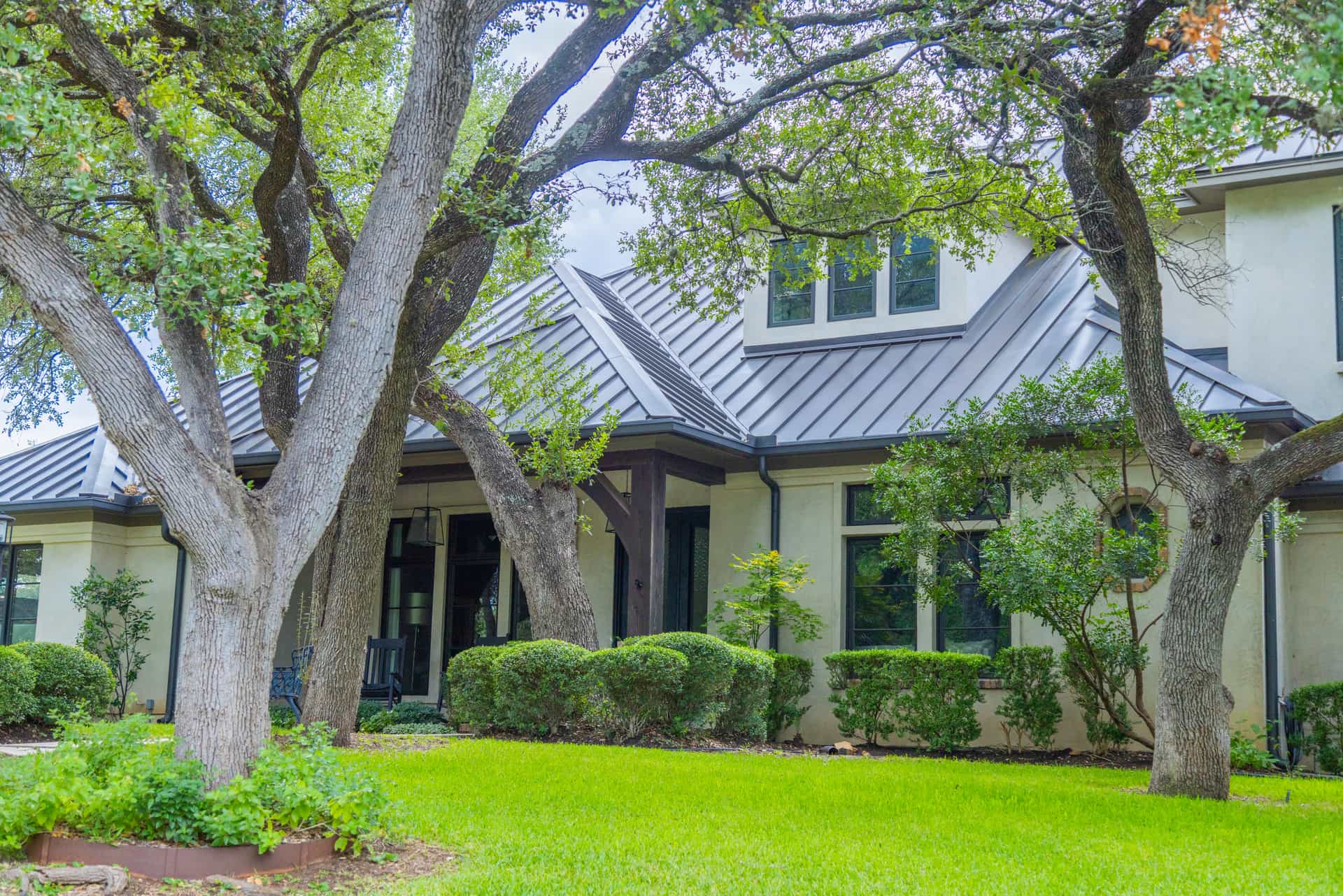 A modern landscape in Texas emphasizing shade with the use of large evergreen trees.