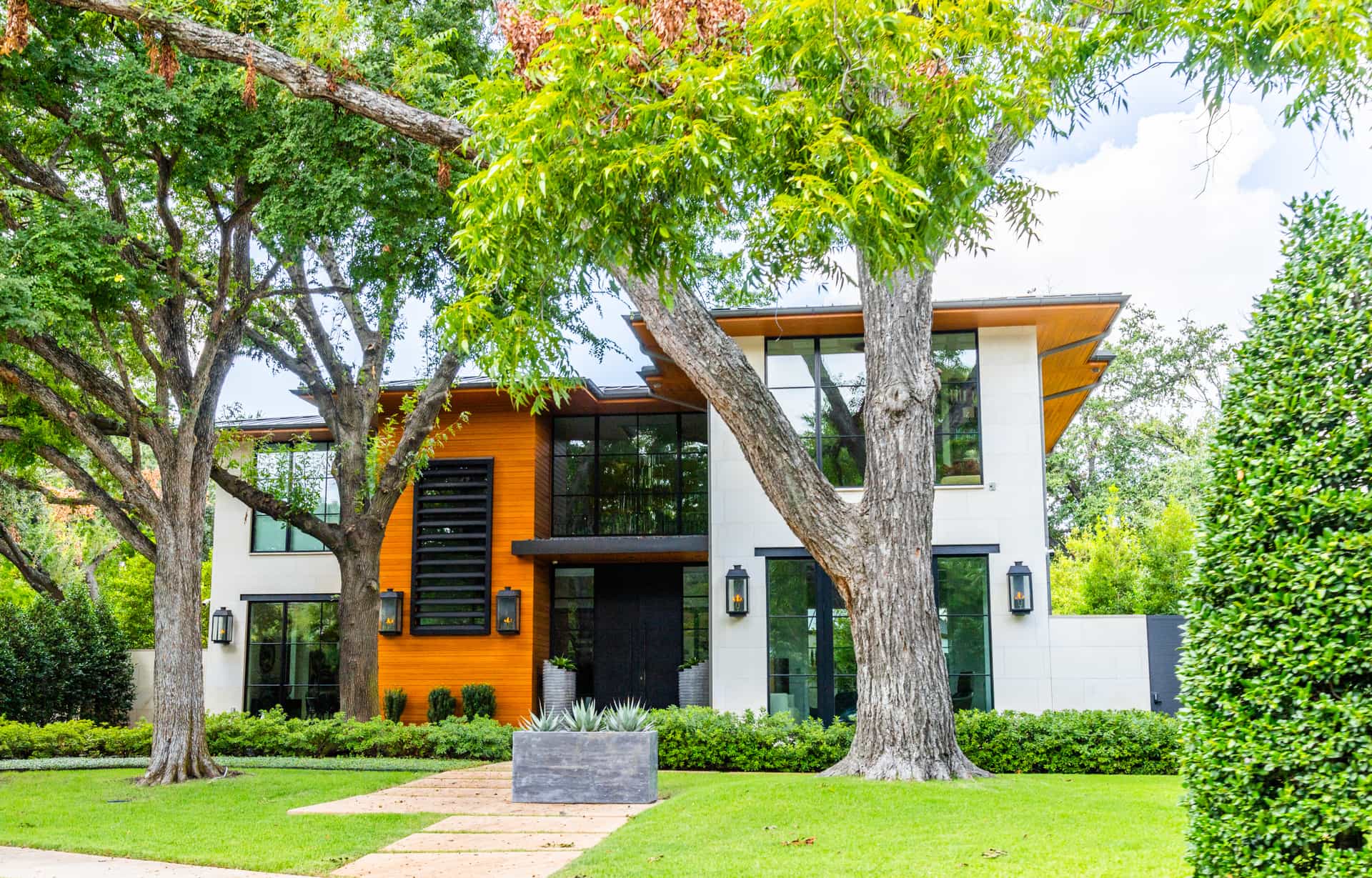 A minimal modern landscape with giant shade trees.