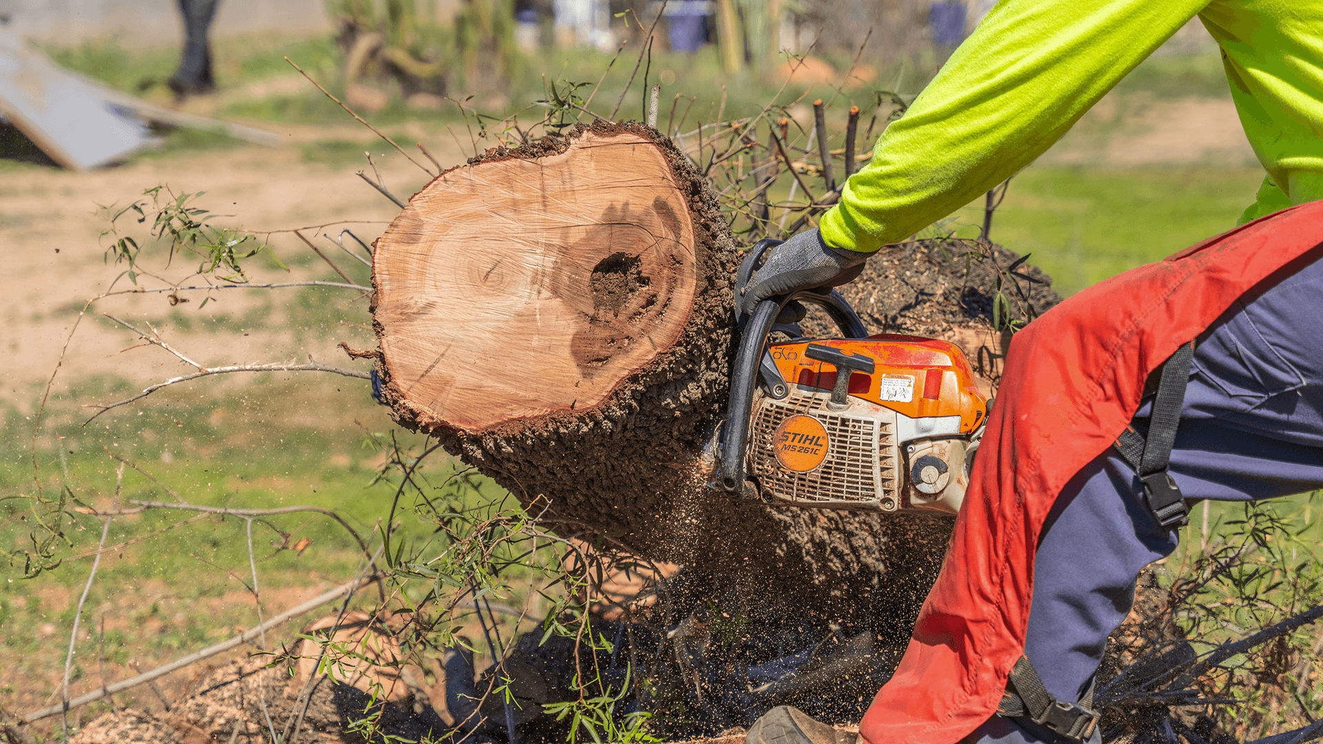 TreeRemoval.png