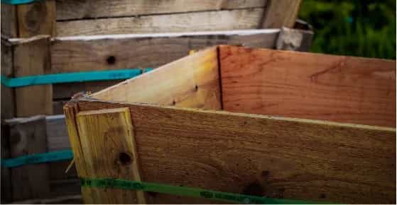 Tree Box - Color