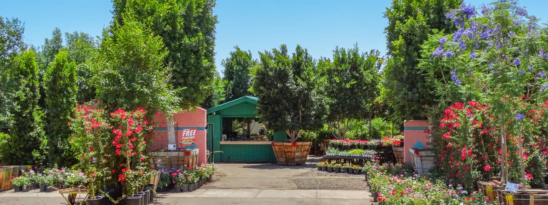 Moon Valley Nurseries Chandler / Gilbert