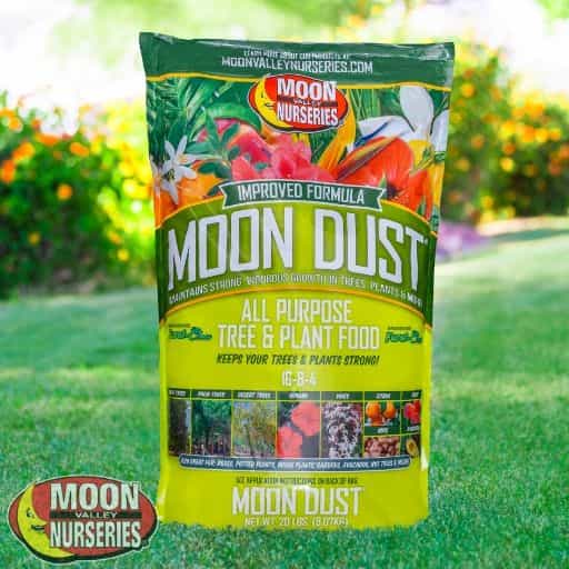 Moon Dust®