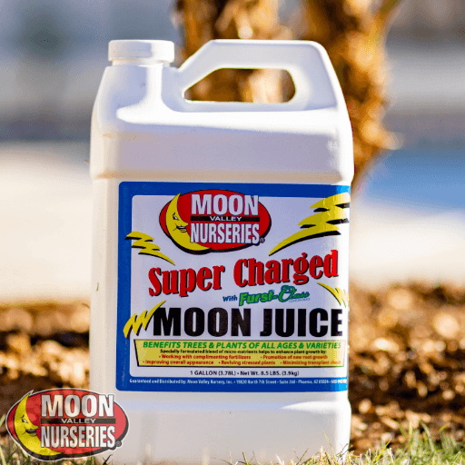 /m/o/moon juice.png