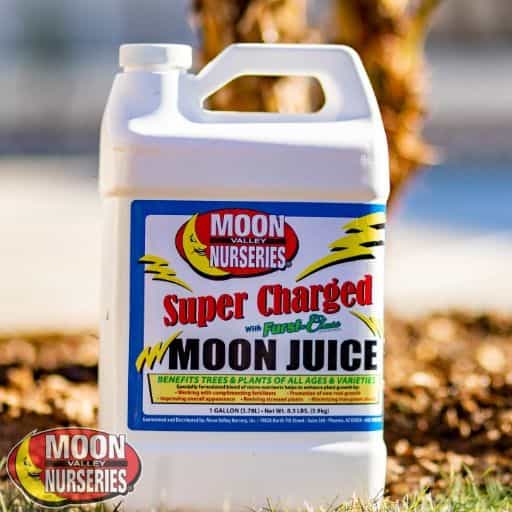 /m/o/moon juice_5.jpg