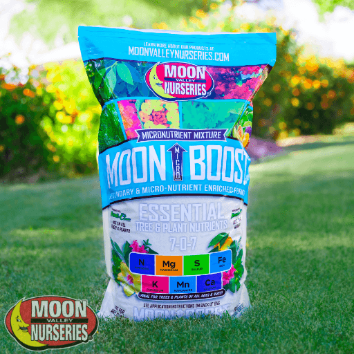 MOON MICROBOOST