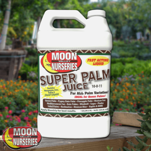 SUPER PALM JUICE
